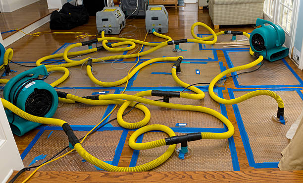 Professional Emergency Water Removal technician working in Straughn, IN